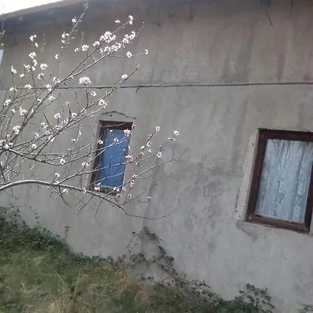 Dinna Bed & Breakfast Osatica
