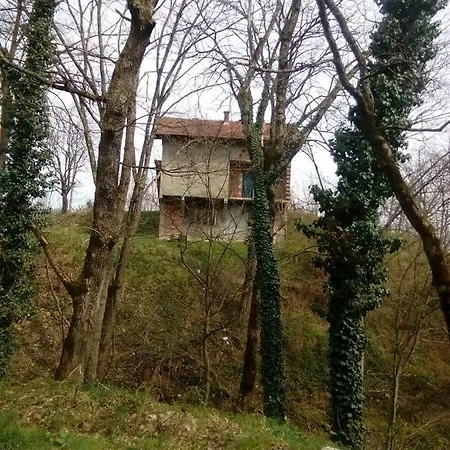 Dinna * Osatica